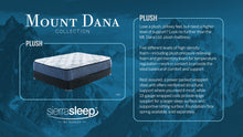 Mt Dana Plush Mattress