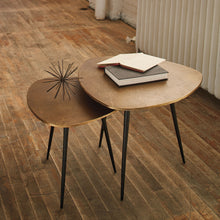 Shemleigh Accent Table (Set of 2)