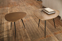 Shemleigh Accent Table (Set of 2)