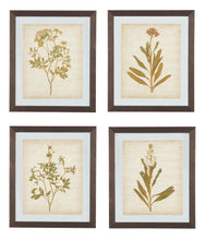 Dyani Wall Art (Set of 4)