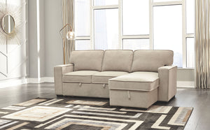 Darton Sleeper Sectional with Storage