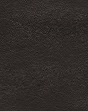 Vacherie Reclining Sofa