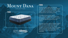 Mt Dana Firm Mattress